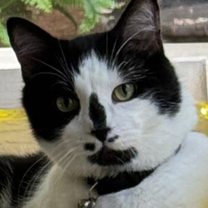 Meet your Posher, John